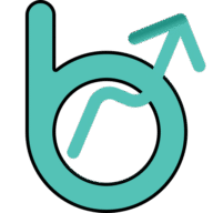 BartarinSEO